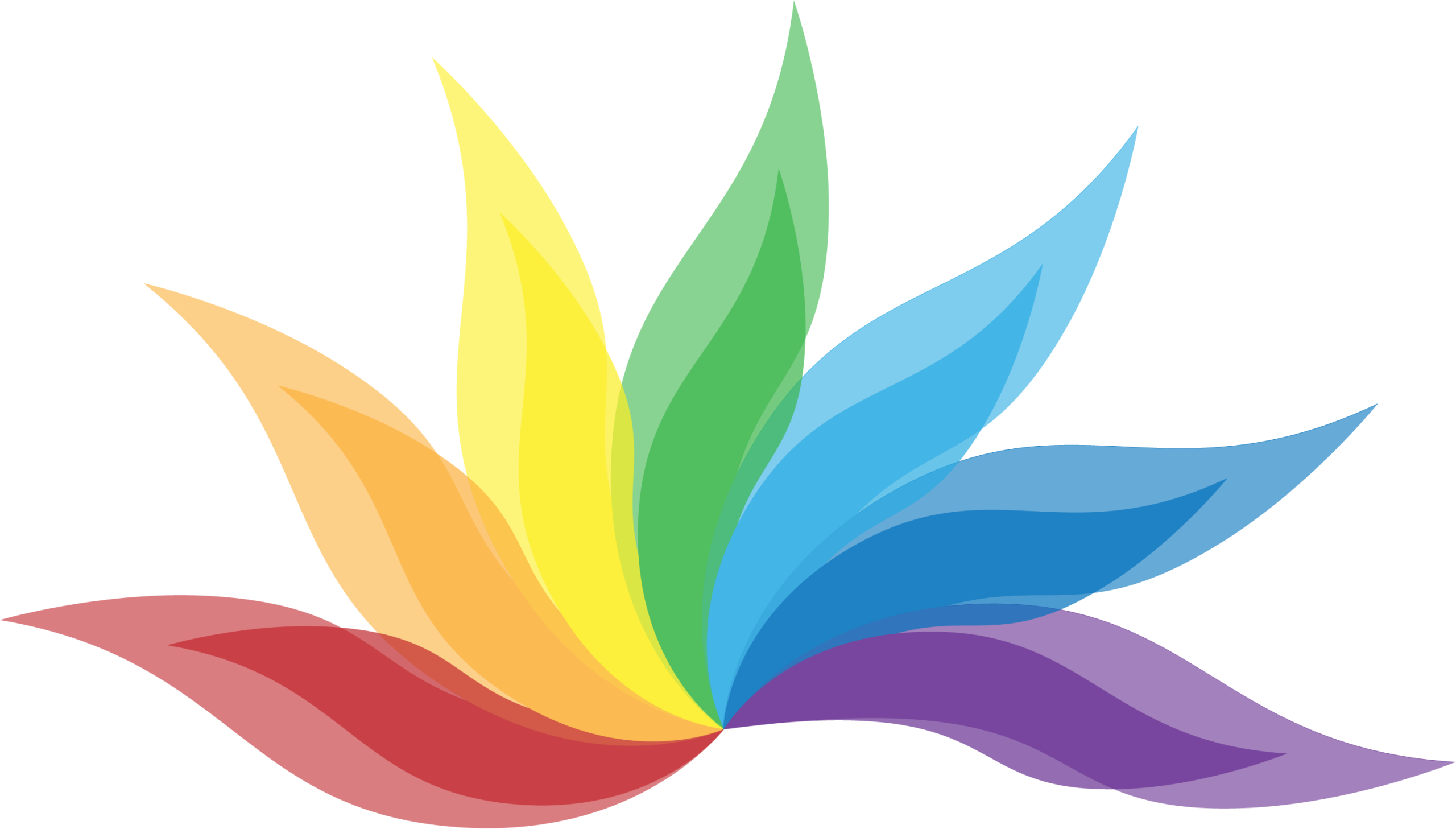 Logo of the queerconnextion - A rainbow-colored fan/arc of leaves with red, orange, yellow, green, azure, blue, violet. The leaves are slightly S-shaped with a darker inner part and a lighter outer part.